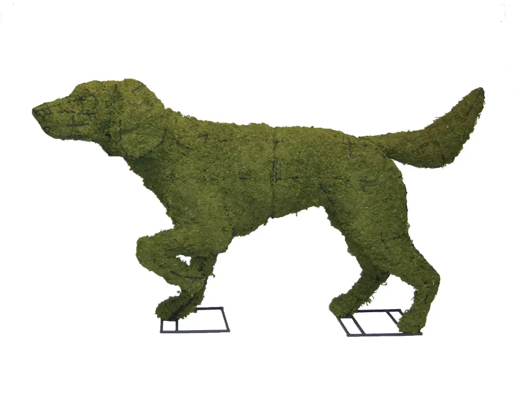 Pointer - 32" (Mossed)