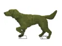 Pointer - 32" (Mossed)