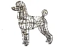 Poodle, Standard - 32½" (Frame)