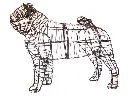 Pug - 18" (Frame)