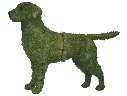 Retriever, Labrador - 30" (Mossed)