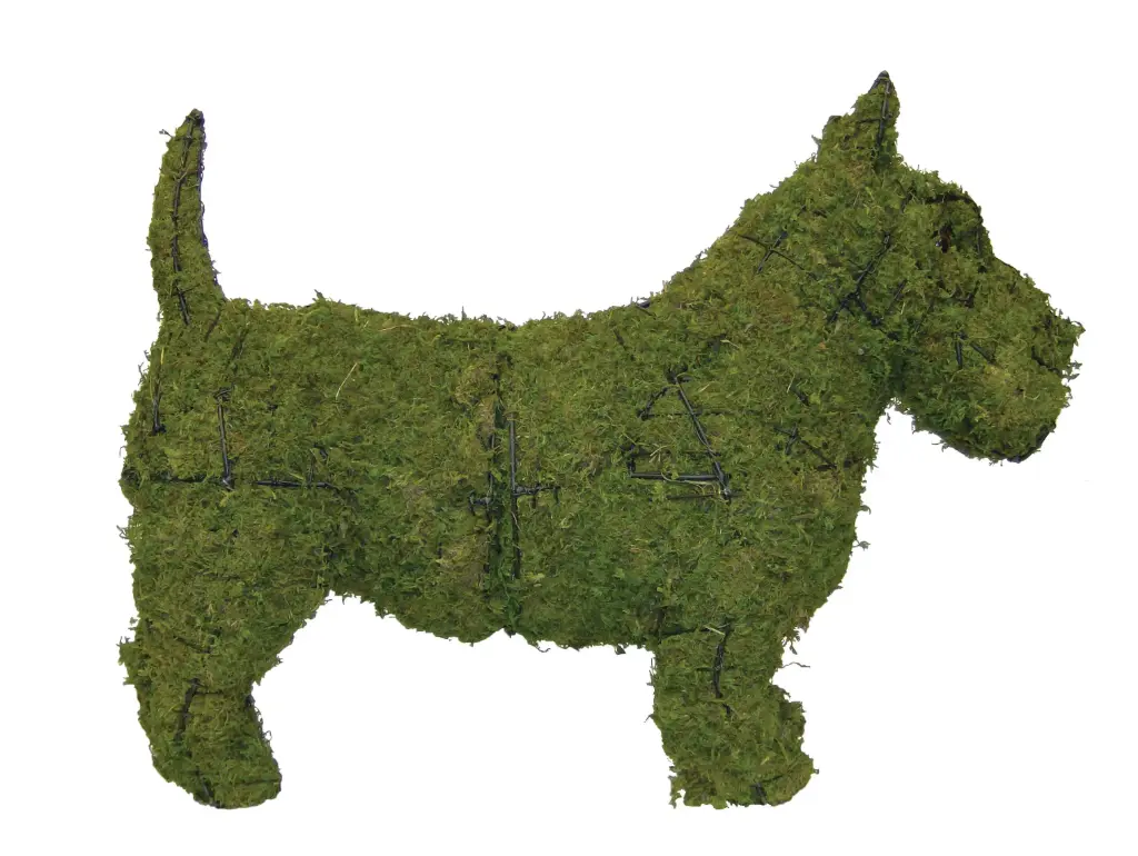 Scottie - 18" (Mossed)