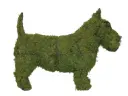 Scottie - 18" (Mossed)
