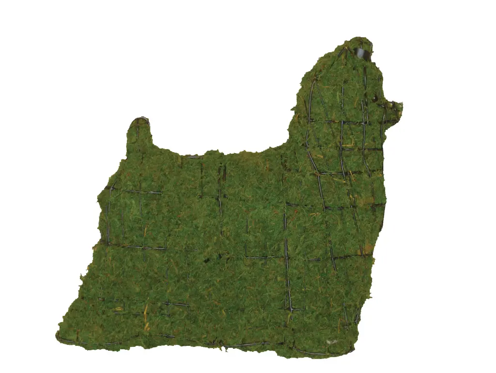 Yorkie - 15" (Mossed)