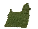 Yorkie - 15" (Mossed)