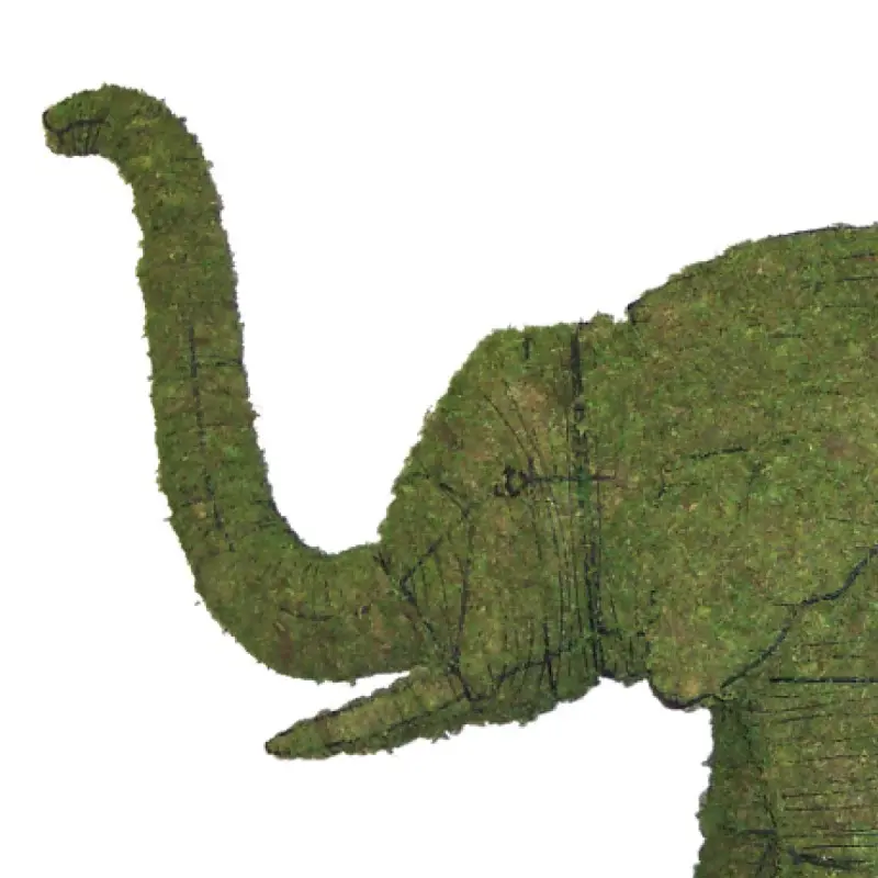 Elephant - 19" (Mossed)