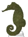 Seahorse - 24" (Mossed}