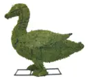 Duck - 9" (Mossed)