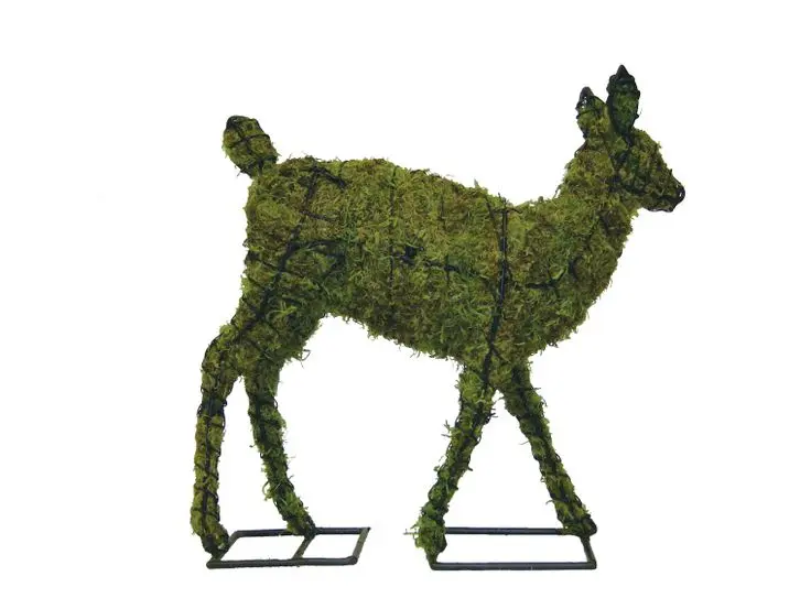 Fawn - 25" (Mossed)