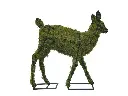 Fawn - 25" (Mossed)