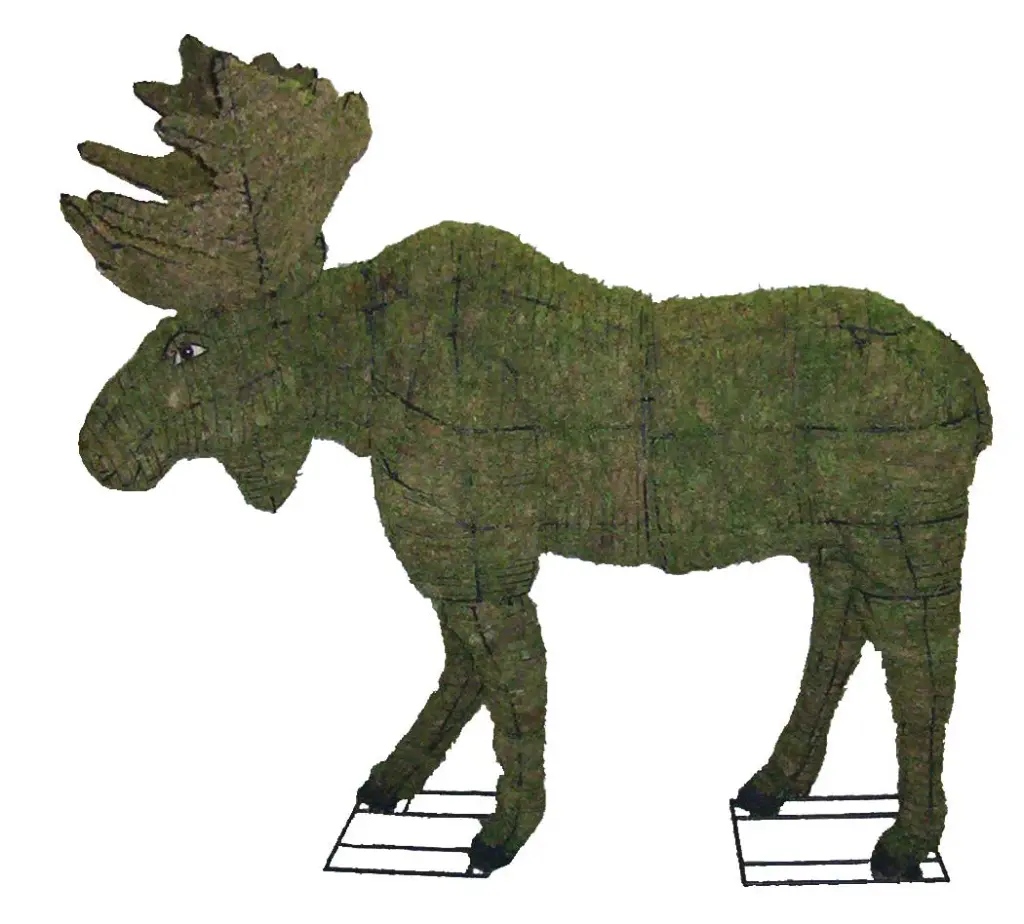 Moose - 60" (Mossed)