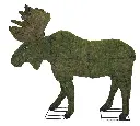 Moose - 60" (Mossed)