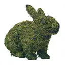 Rabbit, Hopping - 20" (Mossed)