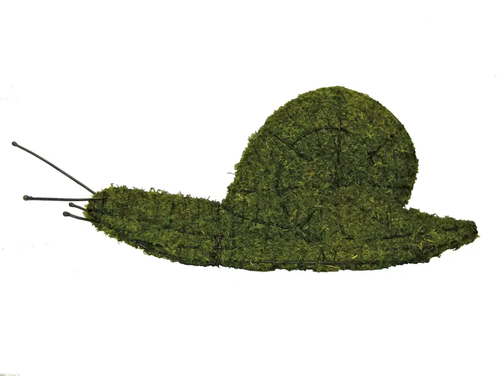 Snail - 6" (Mossed)