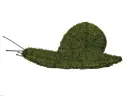 Snail - 6" (Mossed)