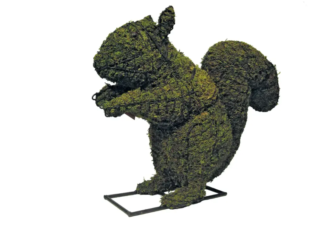 Squirrel - 18" (Mossed)
