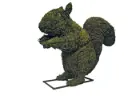 Squirrel - 18" (Mossed)