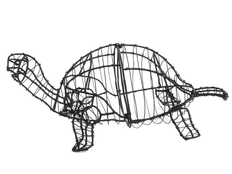 Turtle - 5" (Frame)
