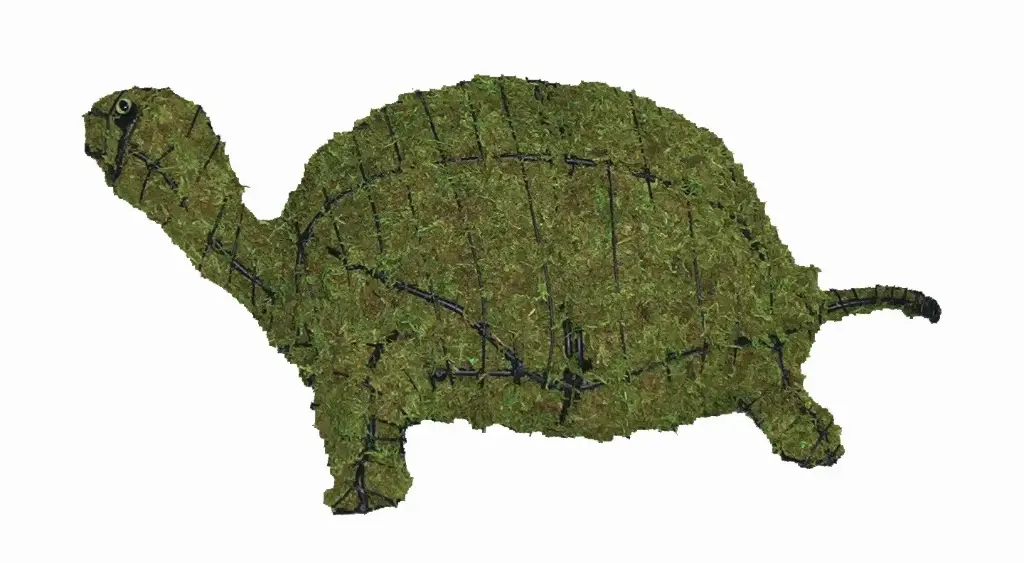 Turtle - 8" (Mossed)