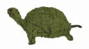 Turtle - 8" (Mossed)