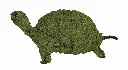 Turtle - 12" (Mossed)