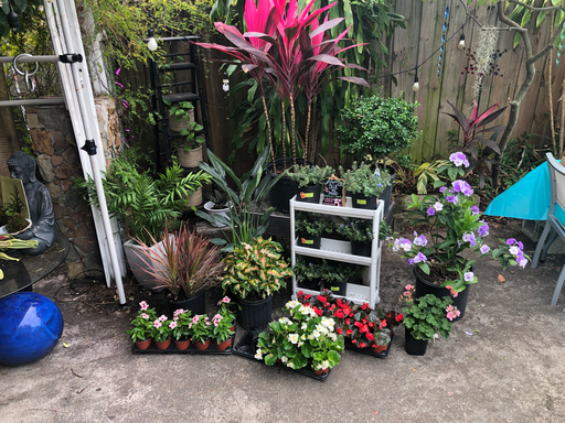 Monthly Garden Service
