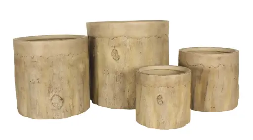 [BRAUN] Tree Trunk Planter Set