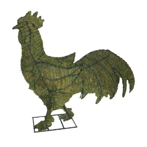 [BRAUN] Rooster - 29" (Mossed)