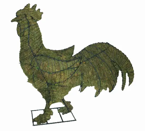 [BRAUN] Rooster - 29" (Mossed)