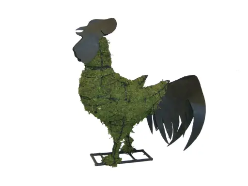 [BRAUN] Rooster, Metal - 28" (Mossed)