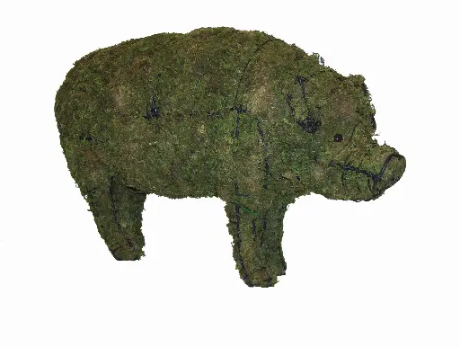 [BRAUN] Pig - 25" (Mossed)