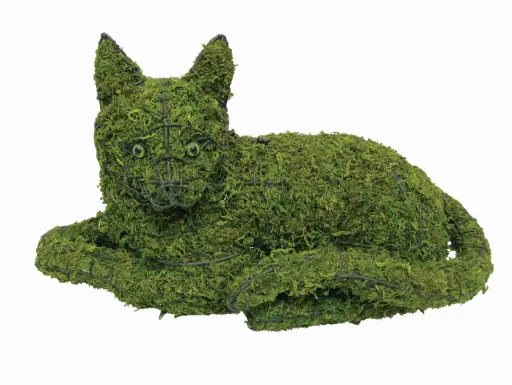 [BRAUN] Cat, Lying - 1O"  (Mossed)