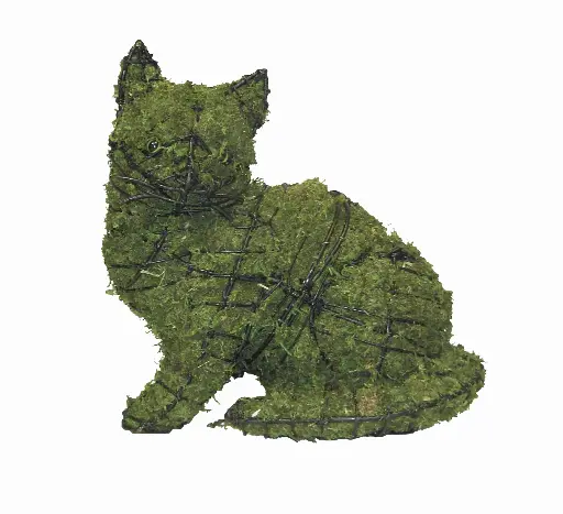 [BRAUN] Kitten, Sitting - 9" (Mossed)