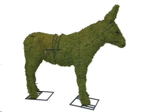 [BRAUN] Donkey- 18" (Mossed)