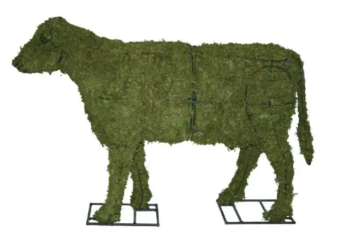 [BRAUN] Cow - 60" (Mossed)