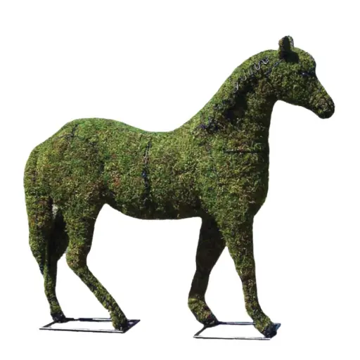 [BRAUN] Horse - 26" (Mossed)