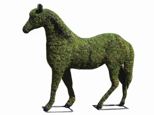 [BRAUN] Horse - 72" (Mossed)