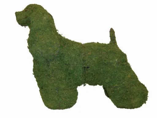 [BRAUN] Cocker Spaniel - 21"  (Mossed)