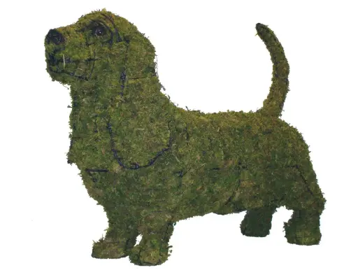 [BRAUN] Basset Hound - 21"  (Mossed)