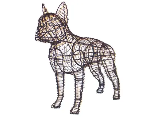 [BRAUN] Boston Terrier - 20"  (Frame)