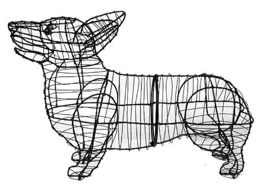 [BRAUN] Corgi - 17"  (Frame)