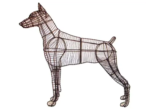 [BRAUN] Doberman - 36" (Frame)