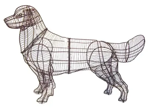 [BRAUN] Golden Retriever - 31" (Frame)