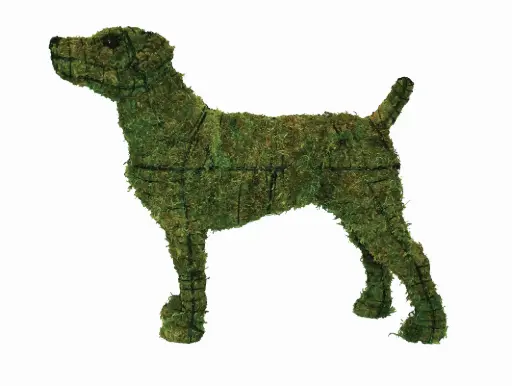 [BRAUN] Jack Russell - 14" (Mossed)