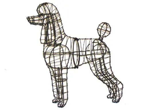 [BRAUN] Poodle, Standard - 32½" (Frame)