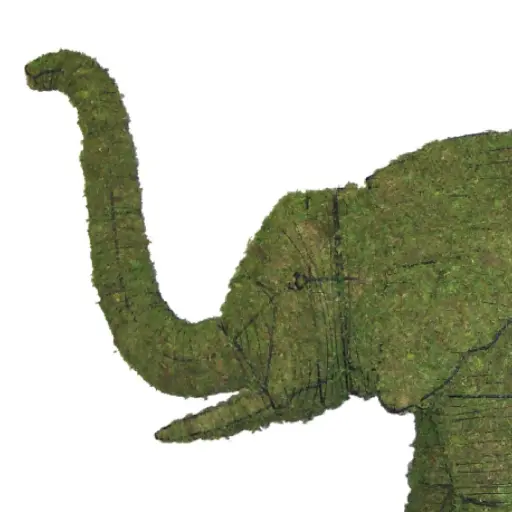 [BRAUN] Elephant - 19" (Mossed)