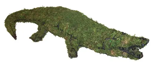 [BRAUN] Alligator - 9"   (Mossed}