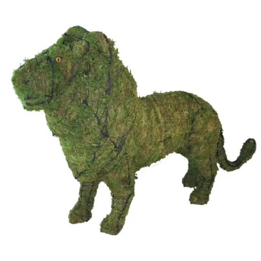 [BRAUN] Lion - 25" (Mossed}