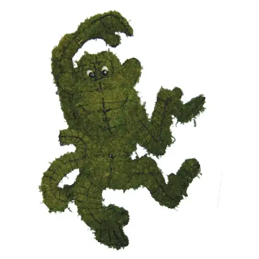 [BRAUN] Monkey, Funky - 33" (Mossed}