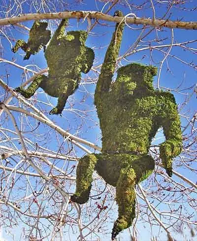 [BRAUN] Monkey, Hanging - 14" (Mossed)